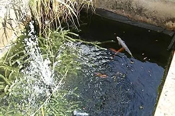 The Pathway 4* 휫비